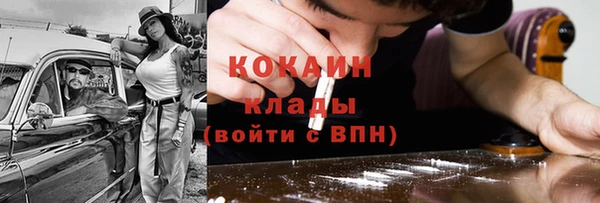 мдпв Осташков