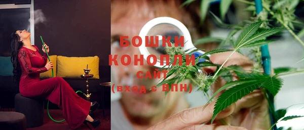 шишки Гатчина