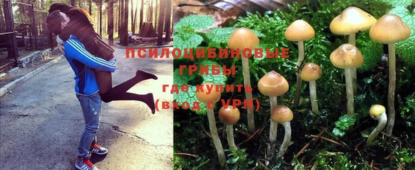дживик Галич