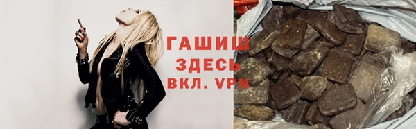 шишки Гатчина