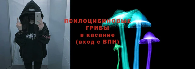 дживик Галич