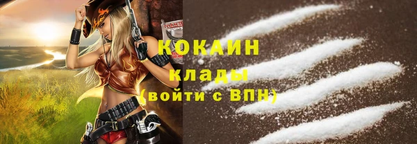 мдпв Осташков