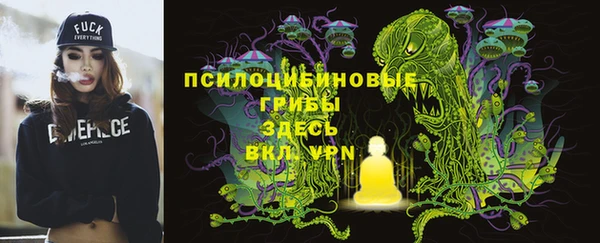 мдпв Осташков