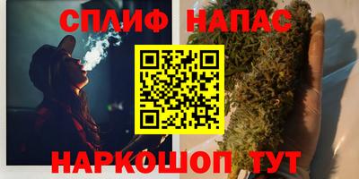шишки Кинель