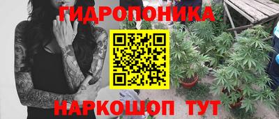 шишки Кинель