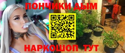 шишки Кинель