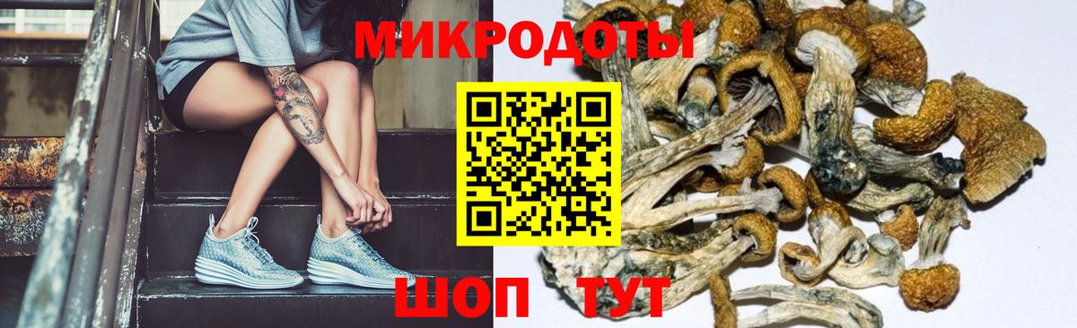 Саратов  как найти наркотики  Вход с VPN  Галлюциногенные грибы GOLDEN TEACHER  Галлюциногенные грибы Cubensis 